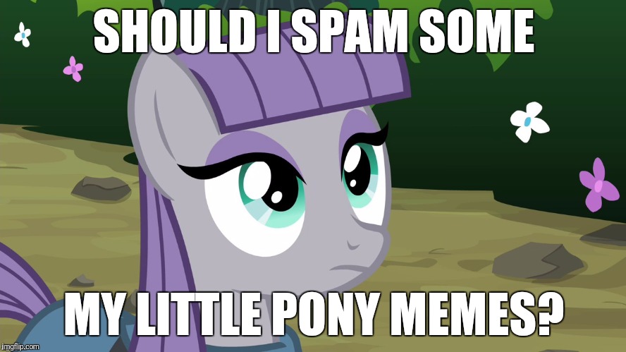 Maud is Interested | SHOULD I SPAM SOME; MY LITTLE PONY MEMES? | image tagged in maud is interested | made w/ Imgflip meme maker