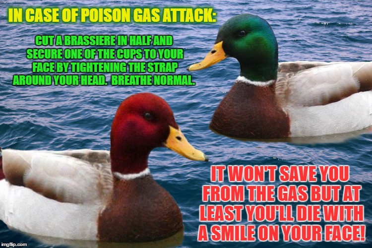 Apocalypse Hack #121 | IN CASE OF POISON GAS ATTACK:; CUT A BRASSIERE IN HALF AND SECURE ONE OF THE CUPS TO YOUR FACE BY TIGHTENING THE STRAP AROUND YOUR HEAD.  BREATHE NORMAL. IT WON'T SAVE YOU FROM THE GAS BUT AT LEAST YOU'LL DIE WITH A SMILE ON YOUR FACE! | image tagged in good malicious advice ducks,die happy | made w/ Imgflip meme maker