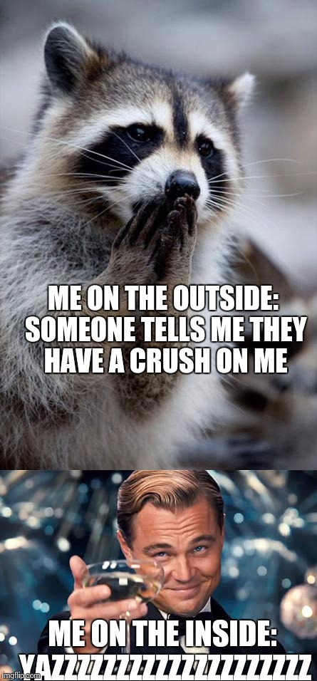 My Reactions | ME ON THE OUTSIDE: SOMEONE TELLS ME THEY HAVE A CRUSH ON ME; ME ON THE INSIDE: YAZZZZZZZZZZZZZZZZZZZZ | image tagged in memes | made w/ Imgflip meme maker