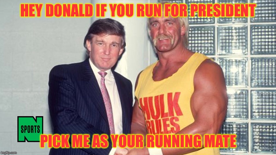 HEY DONALD IF YOU RUN FOR PRESIDENT PICK ME AS YOUR RUNNING MATE | made w/ Imgflip meme maker