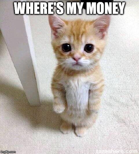 Cute Cat | WHERE'S MY MONEY | image tagged in memes,cute cat | made w/ Imgflip meme maker