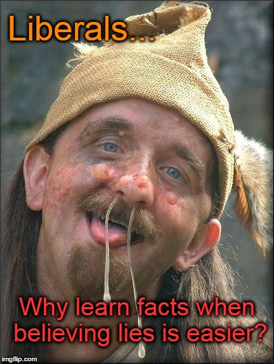 Liberal believe lies | Liberals... Why learn facts when believing lies is easier? | image tagged in liberals,lies | made w/ Imgflip meme maker