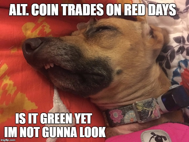 Ruby | ALT. COIN TRADES ON RED DAYS; IS IT GREEN YET IM NOT GUNNA LOOK | image tagged in ruby | made w/ Imgflip meme maker