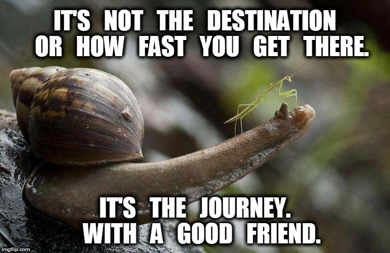 It's Not the Destination, It's the Journey | IT'S   NOT   THE   DESTINATION   OR   HOW   FAST   YOU   GET   THERE. IT'S   THE   JOURNEY.   WITH   A   GOOD   FRIEND. | image tagged in friend | made w/ Imgflip meme maker