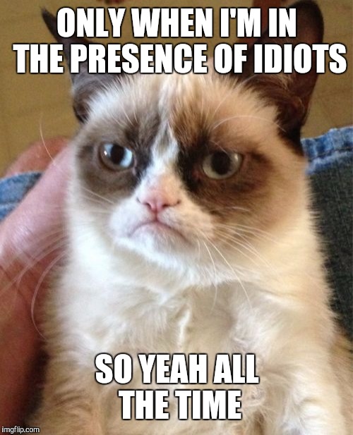 Grumpy Cat Meme | ONLY WHEN I'M IN THE PRESENCE OF IDIOTS SO YEAH ALL THE TIME | image tagged in memes,grumpy cat | made w/ Imgflip meme maker