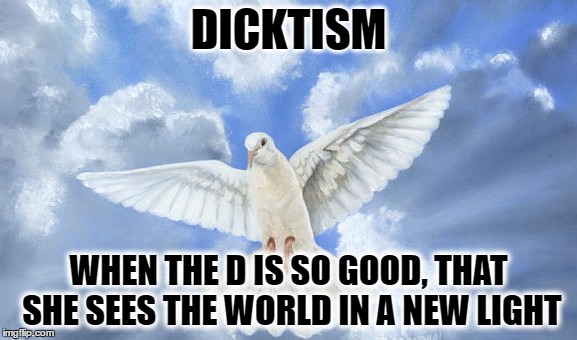 When The D Is Amazing | DICKTISM; WHEN THE D IS SO GOOD, THAT SHE SEES THE WORLD IN A NEW LIGHT | image tagged in the d,funny,dicktism,baptism,amazing d,good d | made w/ Imgflip meme maker
