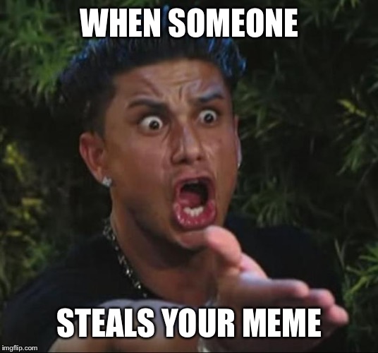 DJ Pauly D | WHEN SOMEONE; STEALS YOUR MEME | image tagged in memes,dj pauly d | made w/ Imgflip meme maker