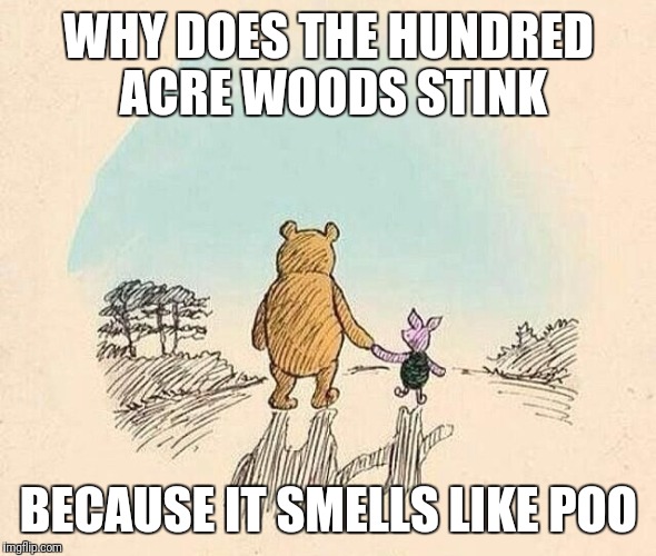 Pooh and Piglet | WHY DOES THE HUNDRED ACRE WOODS STINK; BECAUSE IT SMELLS LIKE POO | image tagged in pooh and piglet | made w/ Imgflip meme maker