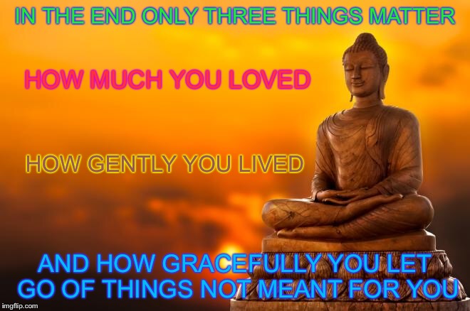 IN THE END ONLY THREE THINGS MATTER; HOW MUCH YOU LOVED; HOW GENTLY YOU LIVED; AND HOW GRACEFULLY YOU LET GO OF THINGS NOT MEANT FOR YOU | image tagged in memes,famous quotes,buddhism | made w/ Imgflip meme maker