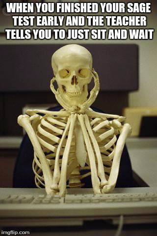 Waiting Skeleton | WHEN YOU FINISHED YOUR SAGE TEST EARLY AND THE TEACHER TELLS YOU TO JUST SIT AND WAIT | image tagged in waiting skeleton | made w/ Imgflip meme maker