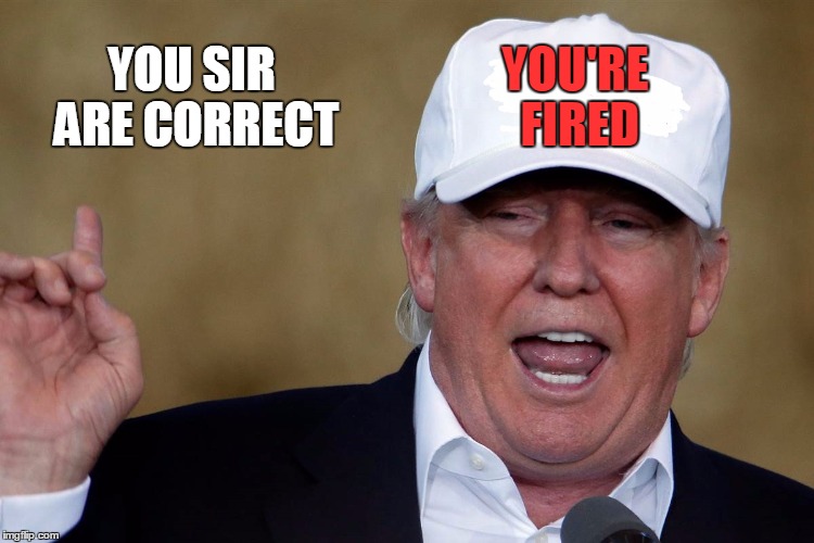 Donald Trump Blank MAGA Hat | YOU'RE FIRED YOU SIR ARE CORRECT | image tagged in donald trump blank maga hat | made w/ Imgflip meme maker