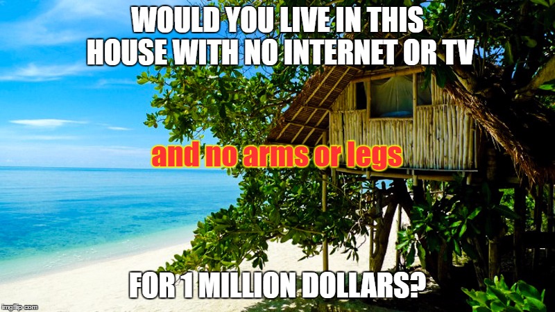 WOULD YOU LIVE IN THIS HOUSE WITH NO INTERNET OR TV; and no arms or legs; FOR 1 MILLION DOLLARS? | image tagged in dankmemes | made w/ Imgflip meme maker