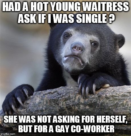 Confession Bear Meme | HAD A HOT YOUNG WAITRESS ASK IF I WAS SINGLE ? SHE WAS NOT ASKING FOR HERSELF, BUT FOR A GAY CO-WORKER | image tagged in memes,confession bear | made w/ Imgflip meme maker