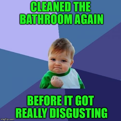 Success Kid Meme | CLEANED THE BATHROOM AGAIN; BEFORE IT GOT REALLY DISGUSTING | image tagged in memes,success kid | made w/ Imgflip meme maker