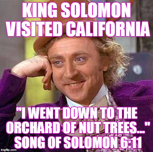 Creepy Condescending Wonka Meme | KING SOLOMON VISITED CALIFORNIA "I WENT DOWN TO THE ORCHARD OF NUT TREES..." SONG OF SOLOMON 6:11 | image tagged in memes,creepy condescending wonka | made w/ Imgflip meme maker