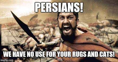 Sparta Leonidas | PERSIANS! WE HAVE NO USE FOR YOUR RUGS AND CATS! | image tagged in memes,sparta leonidas | made w/ Imgflip meme maker