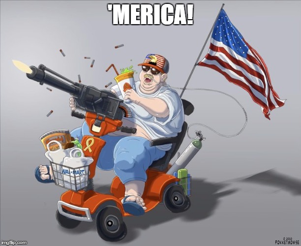 Idk why McDonald's isn't in this | 'MERICA! | image tagged in america,diabeetus,guns out | made w/ Imgflip meme maker