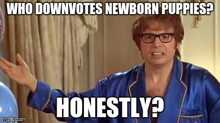 Austin Powers Honestly Meme | WHO DOWNVOTES NEWBORN PUPPIES? HONESTLY? | image tagged in memes,austin powers honestly | made w/ Imgflip meme maker