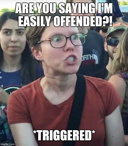 ARE YOU SAYING I'M EASILY OFFENDED?! *TRIGGERED* | made w/ Imgflip meme maker