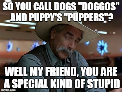 To anybody who calls dogs,"doggos" and puppy's "puppers" | SO YOU CALL DOGS "DOGGOS" AND PUPPY'S "PUPPERS"? WELL MY FRIEND, YOU ARE A SPECIAL KIND OF STUPID | image tagged in special kind of stupid,memes,doggo,doggos,puppers,pupper | made w/ Imgflip meme maker