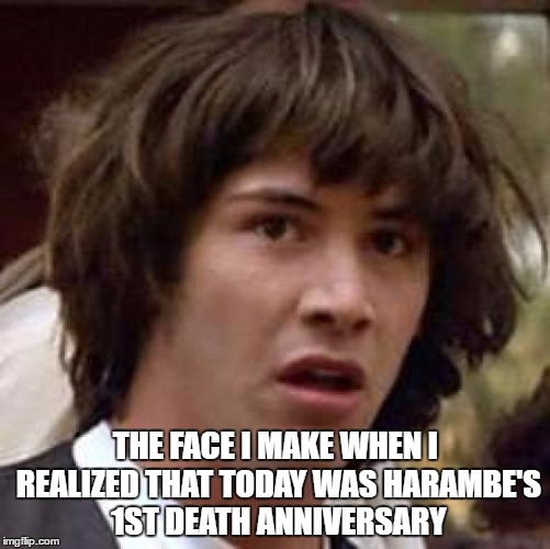 Conspiracy Keanu | THE FACE I MAKE WHEN I REALIZED THAT TODAY WAS HARAMBE'S 1ST DEATH ANNIVERSARY | image tagged in memes,conspiracy keanu | made w/ Imgflip meme maker