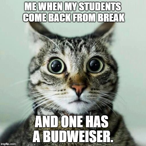 beer cat | ME WHEN MY STUDENTS COME BACK FROM BREAK; AND ONE HAS A BUDWEISER. | image tagged in beer,cat,shocked | made w/ Imgflip meme maker
