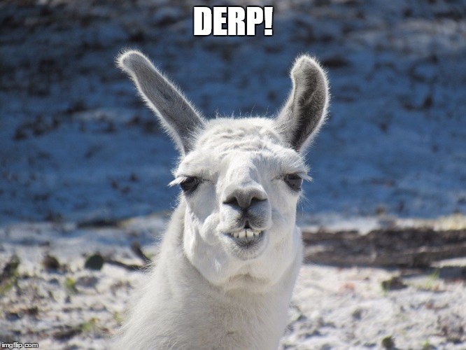 Derp | DERP! | image tagged in derp | made w/ Imgflip meme maker