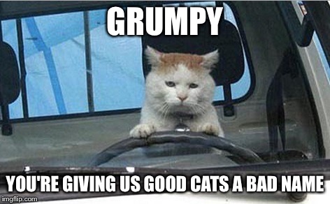 GRUMPY YOU'RE GIVING US GOOD CATS A BAD NAME | made w/ Imgflip meme maker