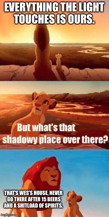 Simba Shadowy Place Meme | EVERYTHING THE LIGHT TOUCHES IS OURS. THAT'S WES'S HOUSE, NEVER GO THERE AFTER 15 BEERS AND A SHITLOAD OF SPIRITS. | image tagged in memes,simba shadowy place | made w/ Imgflip meme maker
