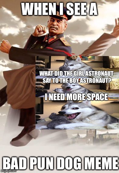 stalinbeatsuphitlersass | WHEN I SEE A; WHAT DID THE GIRL ASTRONAUT SAY TO THE BOY ASTRONAUT? I NEED MORE SPACE; BAD PUN DOG MEME | image tagged in stalinbeatsuphitlersass | made w/ Imgflip meme maker