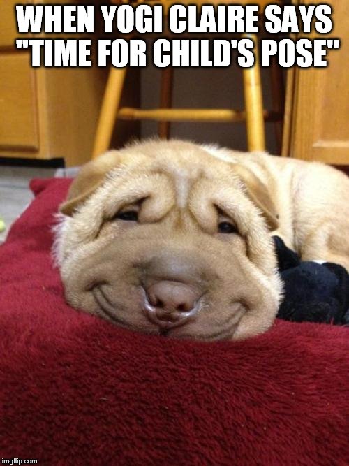 Sad Happy Dog | WHEN YOGI CLAIRE SAYS "TIME FOR CHILD'S POSE" | image tagged in sad happy dog | made w/ Imgflip meme maker