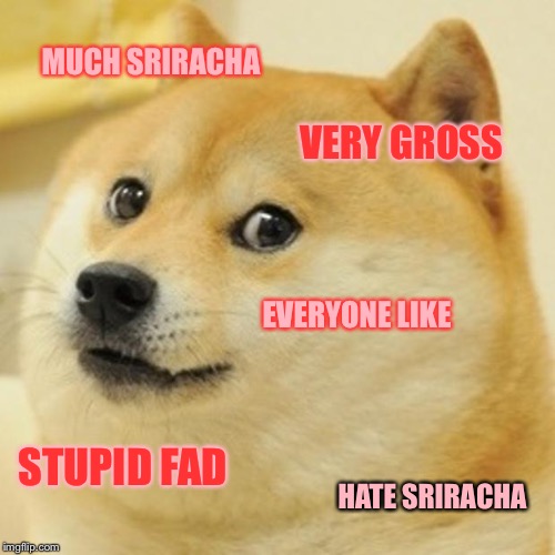 Doge | MUCH SRIRACHA; VERY GROSS; EVERYONE LIKE; STUPID FAD; HATE SRIRACHA | image tagged in memes,doge | made w/ Imgflip meme maker
