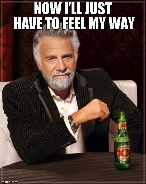 The Most Interesting Man In The World Meme | NOW I'LL JUST HAVE TO FEEL MY WAY | image tagged in memes,the most interesting man in the world | made w/ Imgflip meme maker