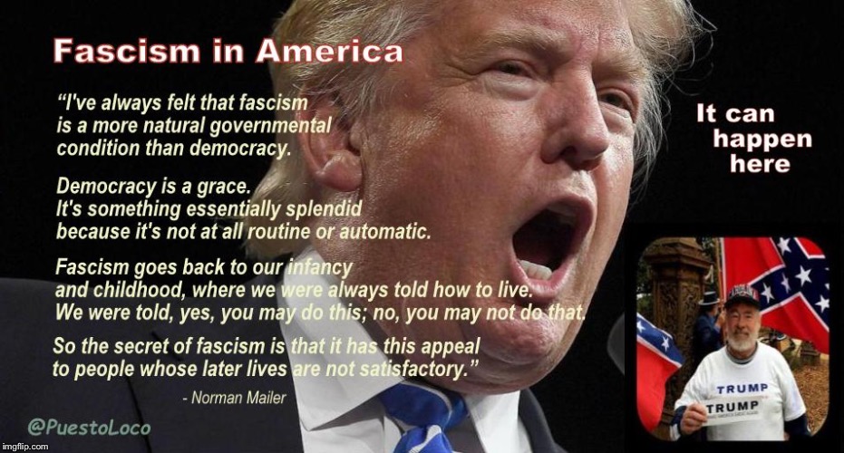 Fascism | image tagged in fascists | made w/ Imgflip meme maker