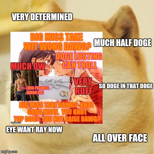VERY DETERMINED MUCH HALF DOGE SO DOGE IN THAT DOGE EYE WANT RAY NOW ALL OVER FACE | made w/ Imgflip meme maker