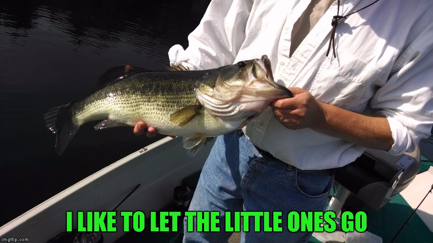 I LIKE TO LET THE LITTLE ONES GO | image tagged in big bass | made w/ Imgflip meme maker