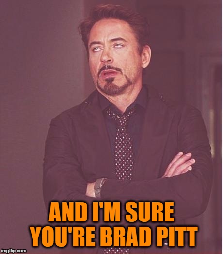 Face You Make Robert Downey Jr Meme | AND I'M SURE YOU'RE BRAD PITT | image tagged in memes,face you make robert downey jr | made w/ Imgflip meme maker