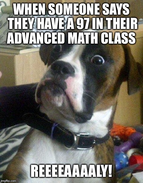 Surprised Dog | WHEN SOMEONE SAYS THEY HAVE A 97 IN THEIR ADVANCED MATH CLASS; REEEEAAAALY! | image tagged in surprised dog | made w/ Imgflip meme maker