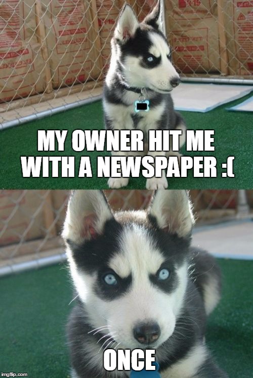 Insanity Puppy Meme | MY OWNER HIT ME WITH A NEWSPAPER :(; ONCE | image tagged in memes,insanity puppy | made w/ Imgflip meme maker