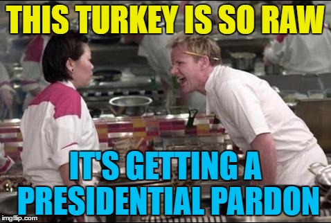 "The greatest Presidential Pardon ever..." | THIS TURKEY IS SO RAW; IT'S GETTING A PRESIDENTIAL PARDON | image tagged in memes,angry chef gordon ramsay,turkey,thanksgiving,presidential pardon,food | made w/ Imgflip meme maker