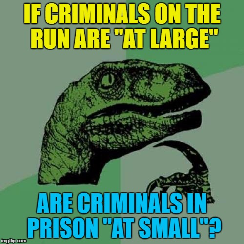 If they're in court are they "at medium"? | IF CRIMINALS ON THE RUN ARE "AT LARGE"; ARE CRIMINALS IN PRISON "AT SMALL"? | image tagged in memes,philosoraptor,criminals,prison,on the run | made w/ Imgflip meme maker