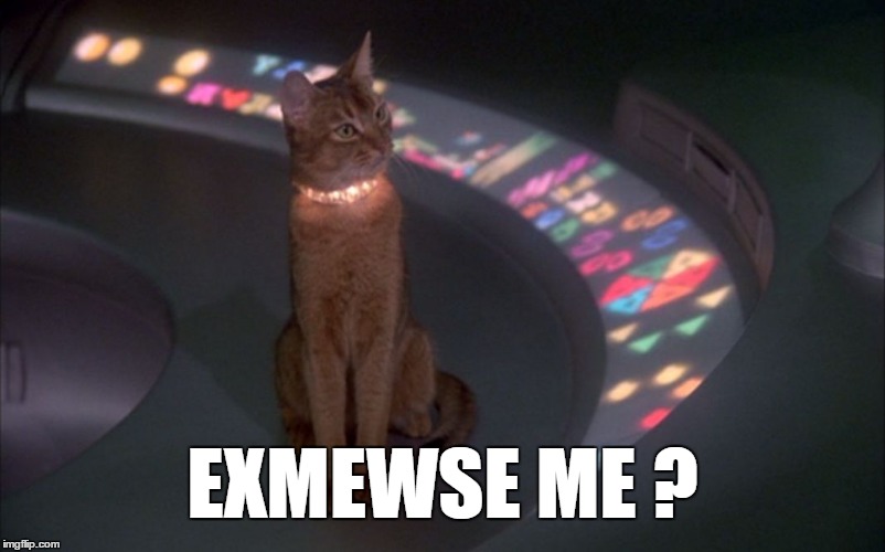 Exmewse Me | EXMEWSE ME ? | image tagged in cat from outer space | made w/ Imgflip meme maker