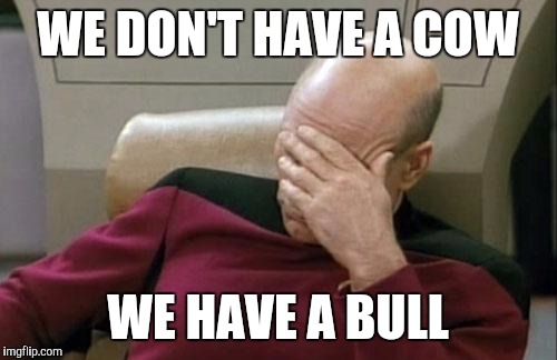 Movie one liner week  - a jeffnethercot event ending today | WE DON'T HAVE A COW; WE HAVE A BULL | image tagged in memes,captain picard facepalm,movie one liner week,jeffnethercot | made w/ Imgflip meme maker