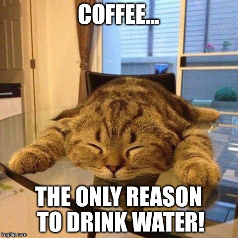 Coffee kitty | COFFEE... THE ONLY REASON TO DRINK WATER! | image tagged in coffee addict | made w/ Imgflip meme maker