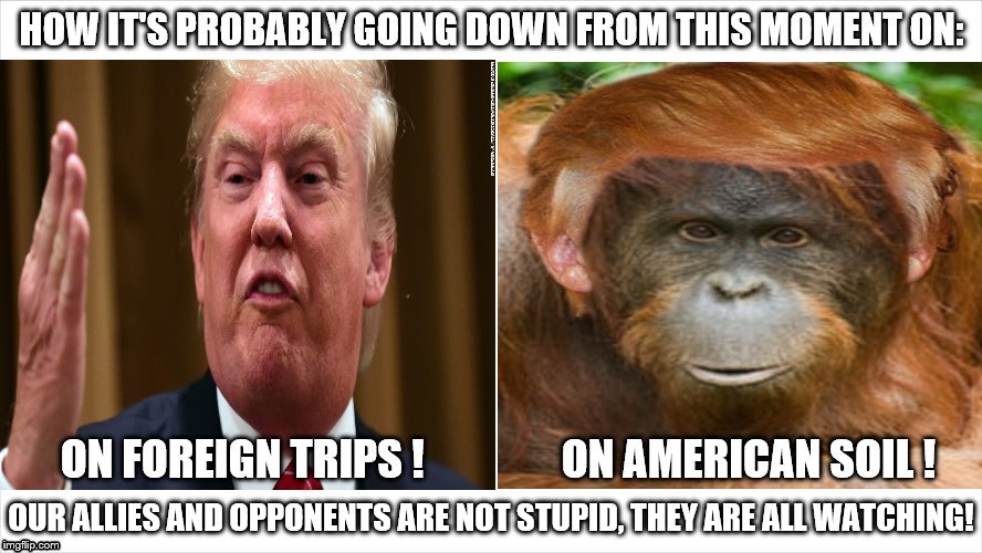 trump orange vs trump orangutan! | OUR ALLIES AND OPPONENTS ARE NOT STUPID, THEY ARE ALL WATCHING! | image tagged in trump orange vs trump orangutan,donald trump is an idiot,allies and opponents are watching,trumpnato,dr trump/mr orangutan,moron | made w/ Imgflip meme maker