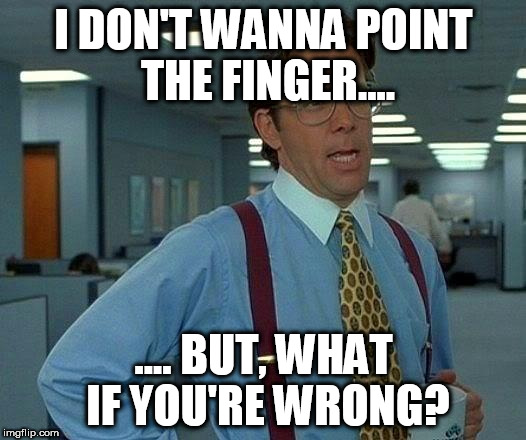 That Would Be Great | I DON'T WANNA POINT THE FINGER.... .... BUT, WHAT IF YOU'RE WRONG? | image tagged in memes,that would be great | made w/ Imgflip meme maker