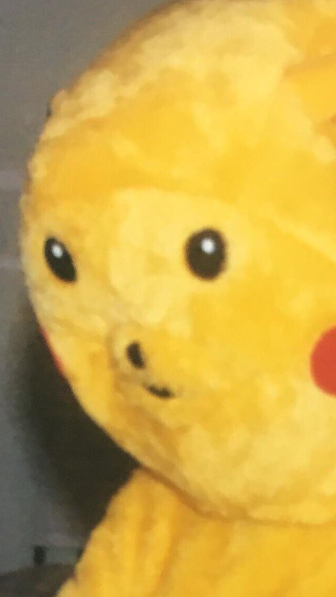 Pichukuchu Blank Meme Template