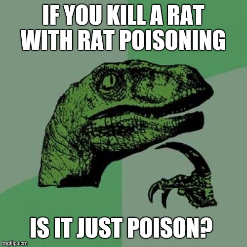 Philosoraptor | IF YOU KILL A RAT WITH RAT POISONING; IS IT JUST POISON? | image tagged in memes,philosoraptor | made w/ Imgflip meme maker