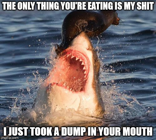 Travelonshark | THE ONLY THING YOU'RE EATING IS MY SHIT; I JUST TOOK A DUMP IN YOUR MOUTH | image tagged in memes,travelonshark | made w/ Imgflip meme maker