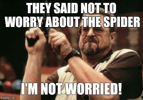 Am I The Only One Around Here | THEY SAID NOT TO WORRY ABOUT THE SPIDER; I'M NOT WORRIED! | image tagged in memes,am i the only one around here | made w/ Imgflip meme maker